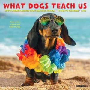 What Dogs Teach Us 2025 7 X 7 Mini Wall Calendar de Willow Creek Press