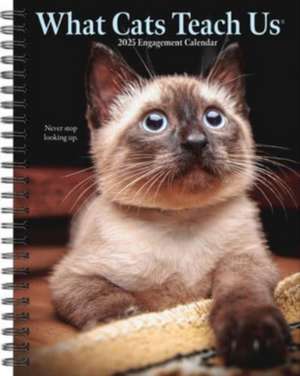 What Cats Teach Us 2025 6.5 X 8.5 Engagement Calendar de Willow Creek Press