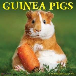 Guinea Pigs 2025 12 X 12 Wall Calendar de Willow Creek Press