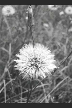 Hicks, C: SOMETIMES BUT NEVER ENOUGH