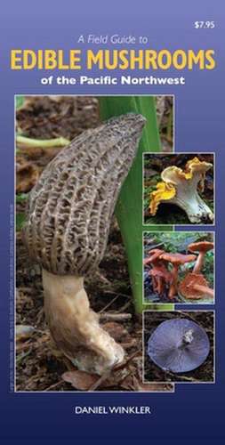 Field Guide to Edible Mushrooms of the Pacific Northwest de Daniel Winkler