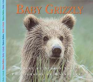 Baby Grizzly de Aubrey Lang