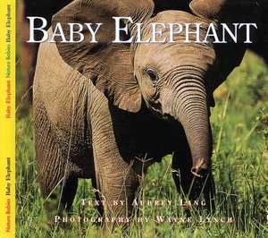 Baby Elephant de Aubrey Lang