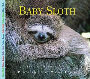 Baby Sloth de Aubrey Lang