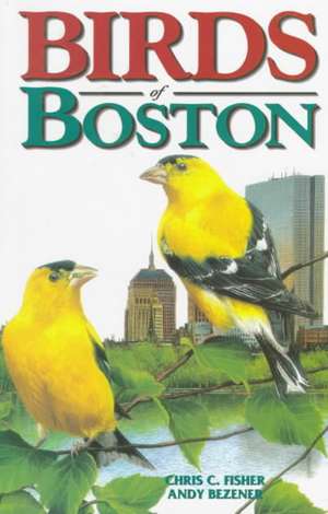 Birds of Boston de Chris Fisher