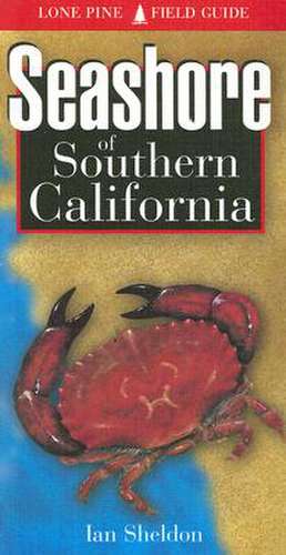 Seashore of Southern California de Ian Sheldon