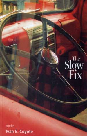 The Slow Fix de Ivan Coyote