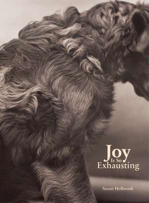 Joy Is So Exhausting de Susan Holbrook