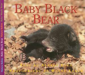 Baby Black Bear de Aubrey Lang