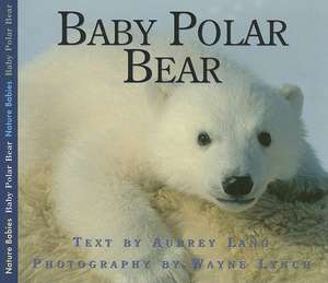 Baby Polar Bear de Aubrey Lang