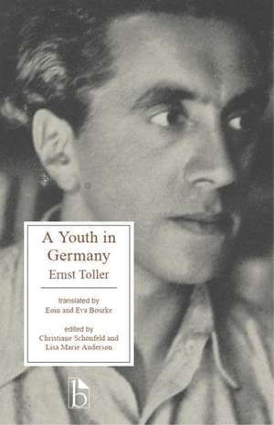 A Youth in Germany de Ernst Toller