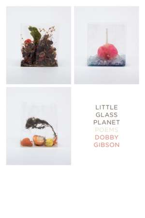 Little Glass Planet: Poems de Dobby Gibson