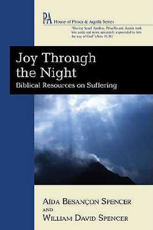 Joy Through the Night de Spencer, Aida Besancon