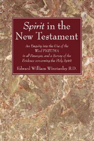 Spirit in the New Testament de Winstanley, Edward William