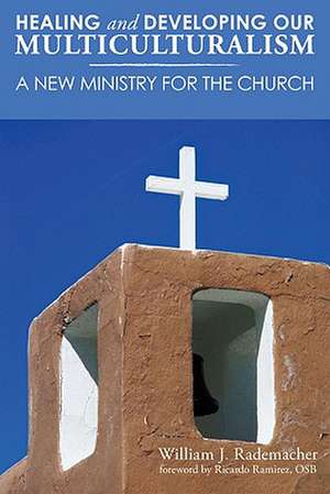 Healing and Developing Our Multiculturalism: A New Ministry for the Church de William Rademacher