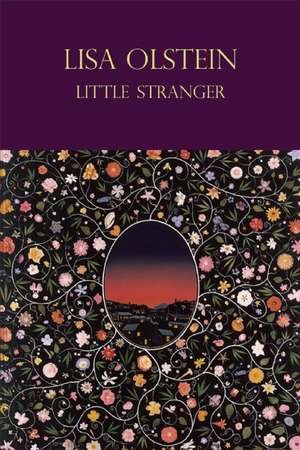 Little Stranger de Lisa Olstein