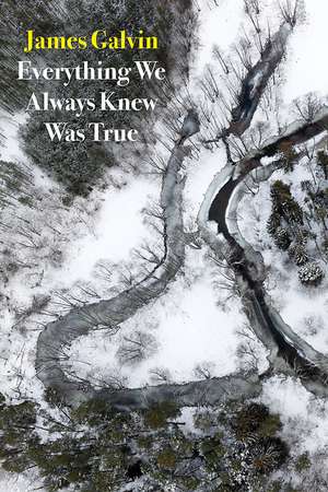 Everything We Always Knew Was True de James Galvin