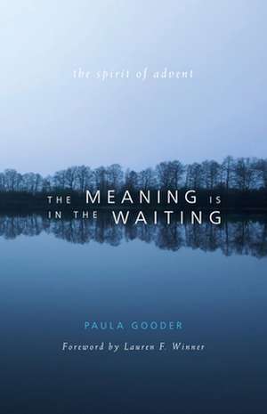 The Meaning Is in the Waiting: The Spirit of Advent de Paula Gooder