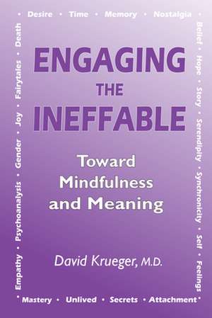 Engaging the Ineffable de David Krueger