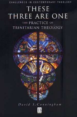 These Three are One – The Practice of Trinitarian Theology de D Cunningham