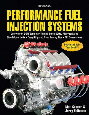 Performance Fuel Injection Systems de Matt Cramer