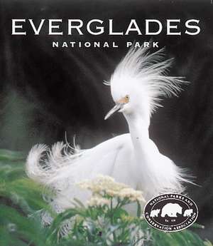 Everglades National Park: A Tiny Folio de Patricia Caulfield