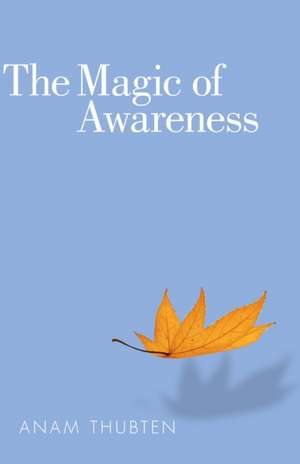 The Magic of Awareness: A New Commentary on the Heart Sutra de Anam Thubten