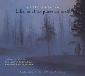 Yellowstone: Like No Other Place on Earth de David Peterson