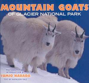 Mountain Goats of Glacier National Park de Kathleen Yale