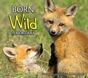 Born Wild in Montana de Donald M. Jones