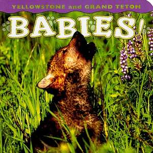 Yellowstone and Grand Teton Babies! de Wendy Shattil