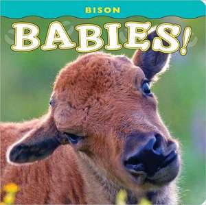 Bison Babies! de Donald M. Jones