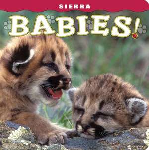 Sierra Babies! de Wendy Shattil