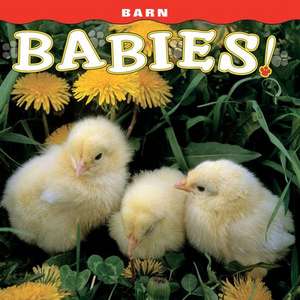 Barn Babies! de Farcountry Press