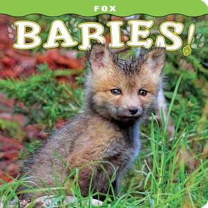 Fox Babies! de Steph Lehmann