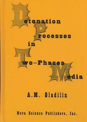 Detonation Process in Two-Phase Media de A M Gladilin