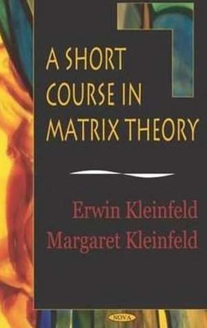 Short Course in Matrix Theory de Irwin Kleinfeld