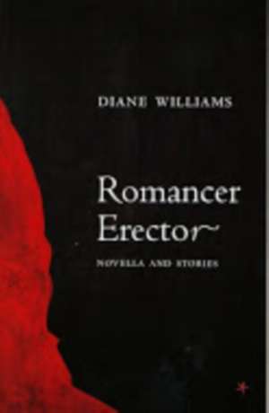 Romancer Erector books-express.ro