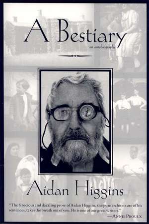 A Bestiary de Aidan Higgins