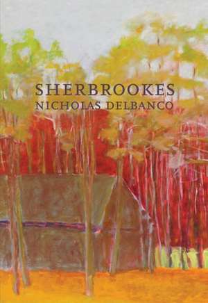 Sherbrookes de Nicholas Delbanco