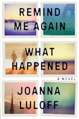 Remind Me Again What Happened de Joanna Luloff