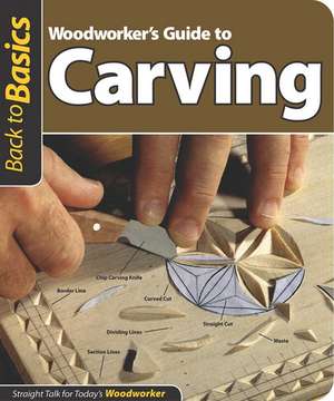 Woodworker's Guide to Carving: Straight Talk for Today's Woodworker de John Kelsey