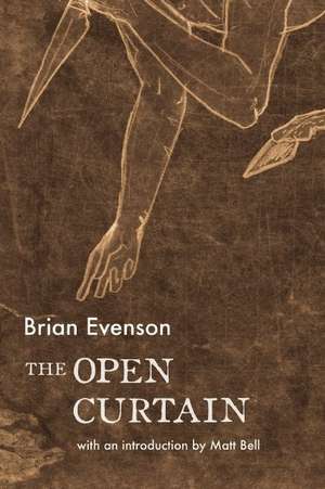 Evenson, B: Open Curtain