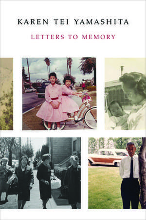 Letters to Memory de Karen Tei Yamashita