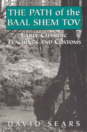 Path of the Baal Shem Tov de David Sears