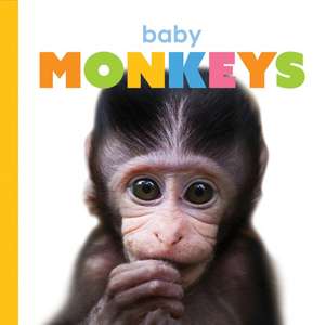 Baby Monkeys de Kate Riggs