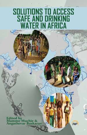 Solutions to Access Safe and Drinking Water in Africa de Mammo Muchie