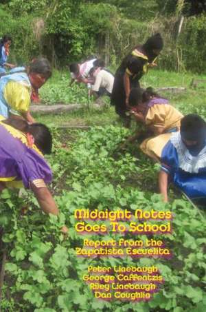 Midnight Notes Goes to School: Report from the Zapatista Escuelita de Peter Linebaugh