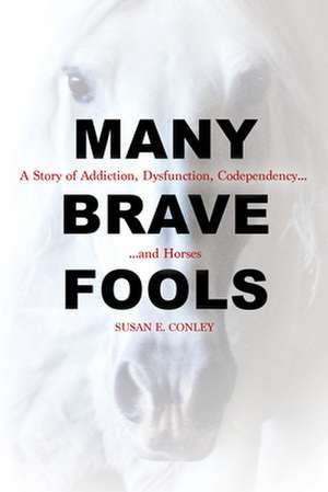 Many Brave Fools de Susan E. Conley