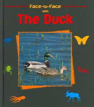 The Duck de Pascale Hedelin